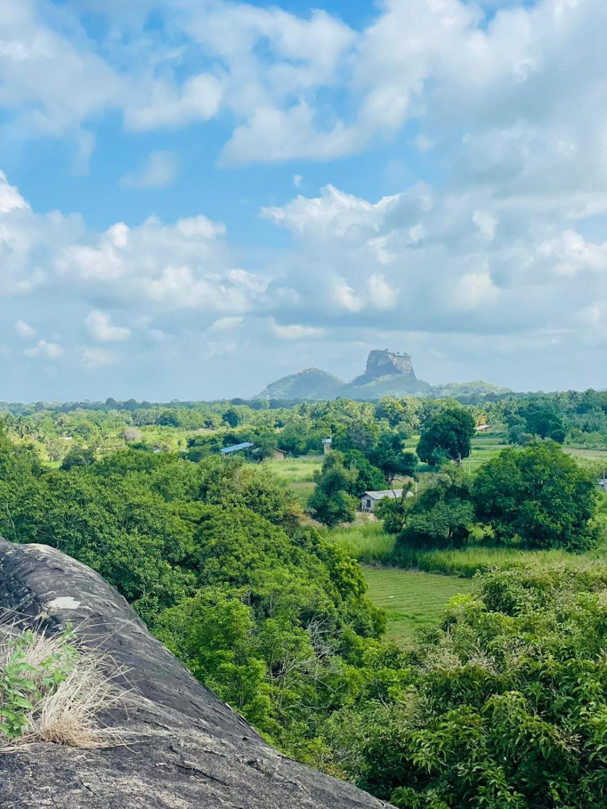 Birdwing Sigiriya Hotell Eksteriør bilde